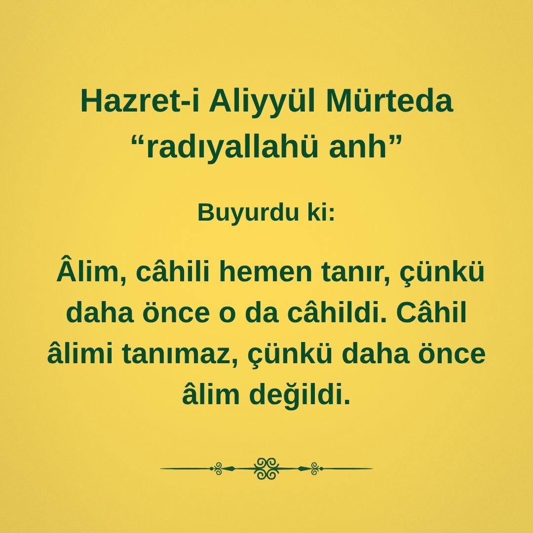 Aliyyül Mürteda (66)
